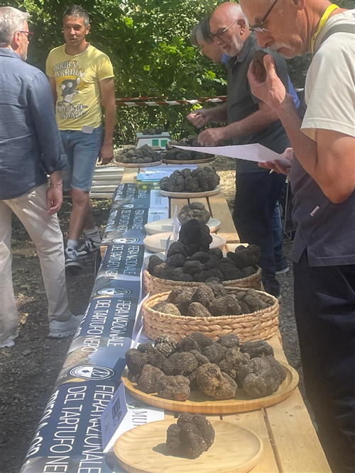 TARTUFO&BARATUCIAT
Si replica nel week end